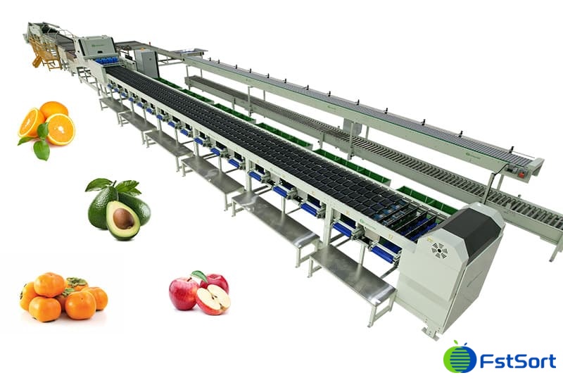 images/1721979983841Tajikistan Persimmon optical sorting machine.jpg